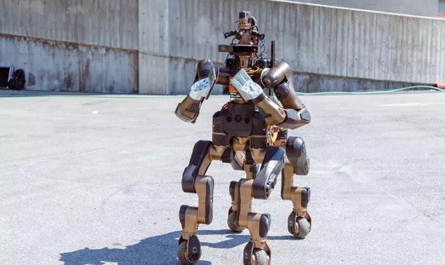 Centauro