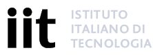 意大利理工学院 Istituto Italiano di Tecnologia（IIT）