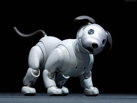 AIBO