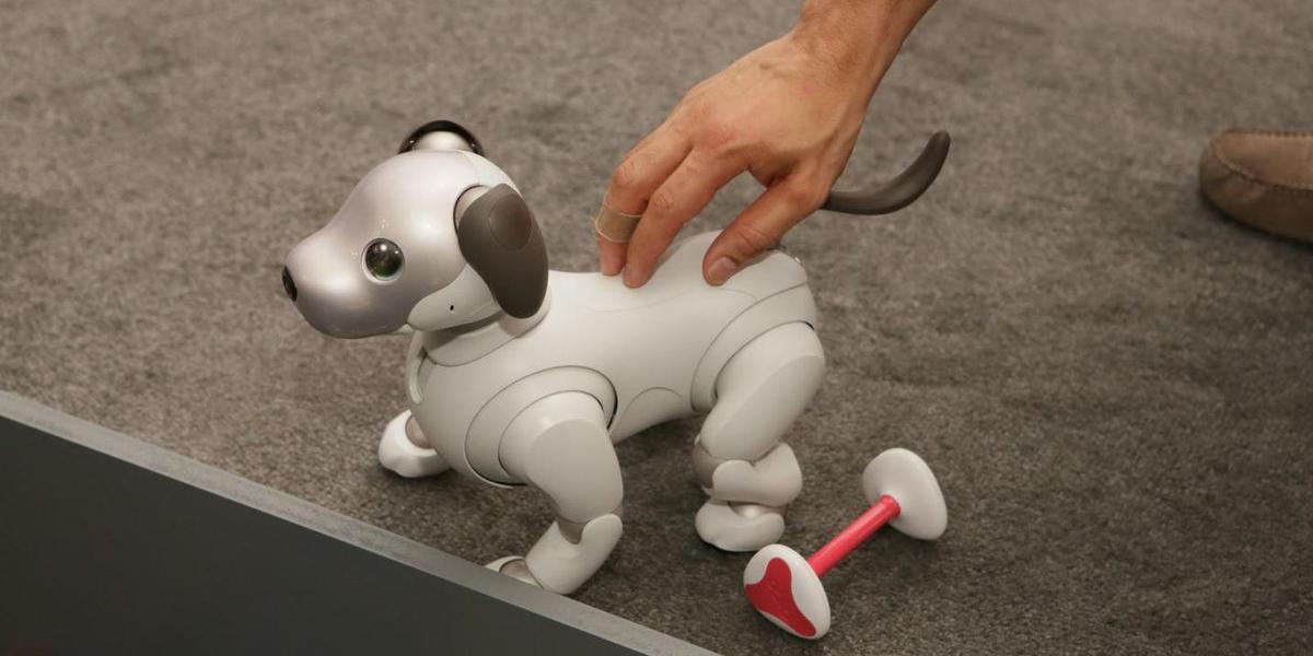 AIBO