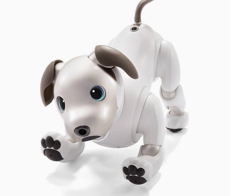 AIBO