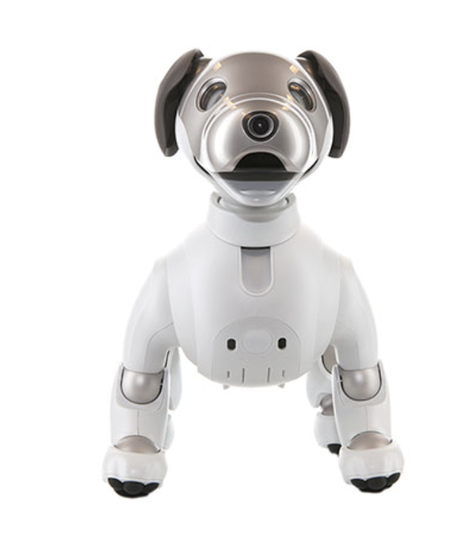 AIBO